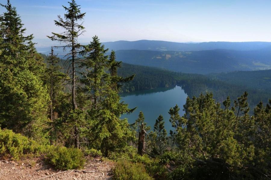 Apartmány U šneka Železná Ruda Exterior foto